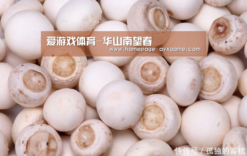 爱游戏体育